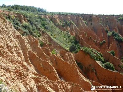 Carcavas de Alpedrete de la Sierra y Meandros del Lozoya;senderismo guadalajara;rutas senderismo